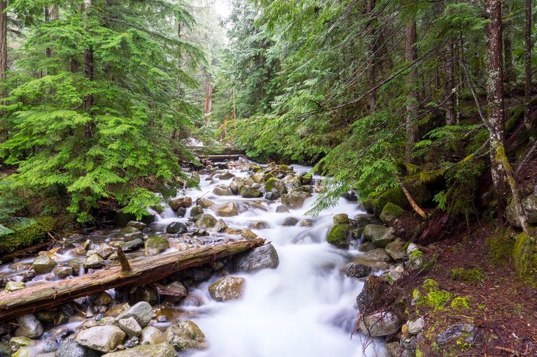 Asahel Curtis Nature Trail