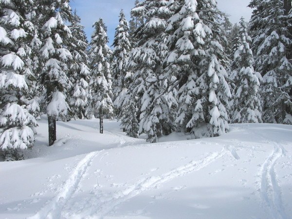 Nordic Pass – Hyak