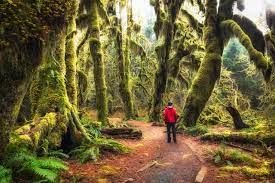 Hoh Rain Forest Visitor Center