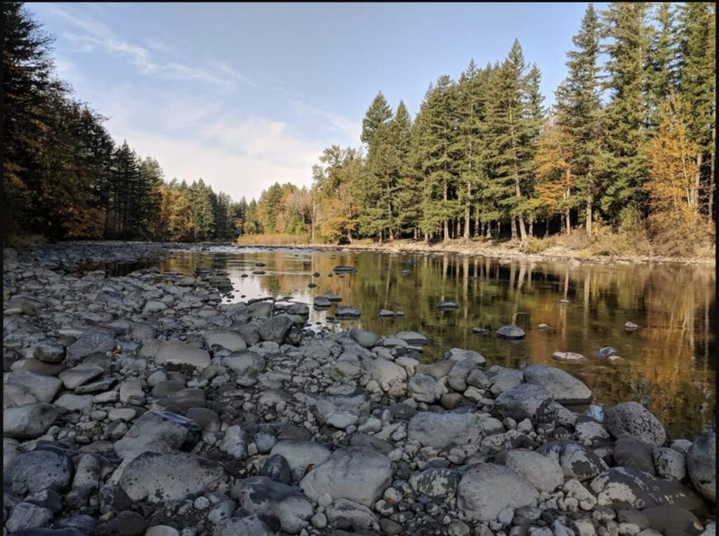 Tanner Landing Park